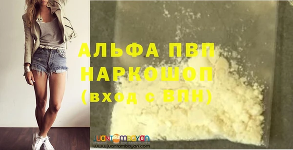 мдпв Гусев