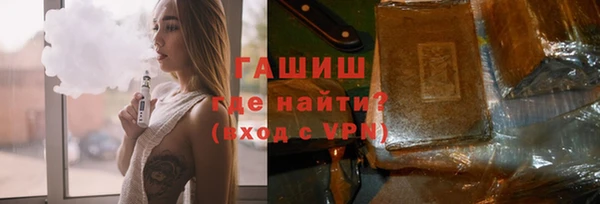 мдпв Гусев