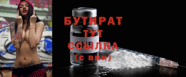 мдпв Гусев