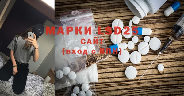 мдпв Гусев