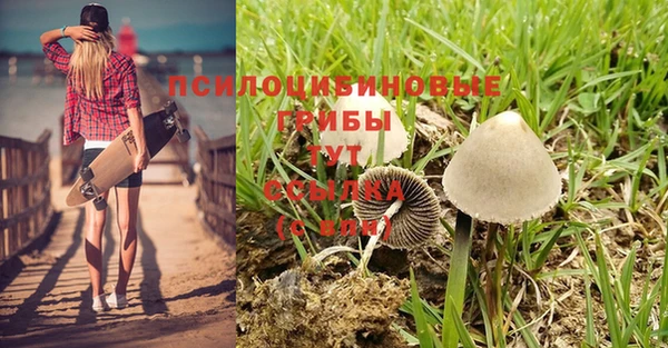 кокаин перу Гусь-Хрустальный