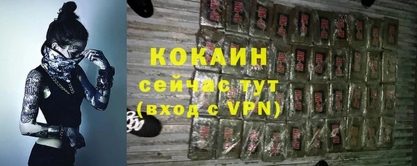 шишки Вязники