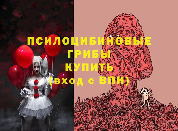 мдпв Гусев