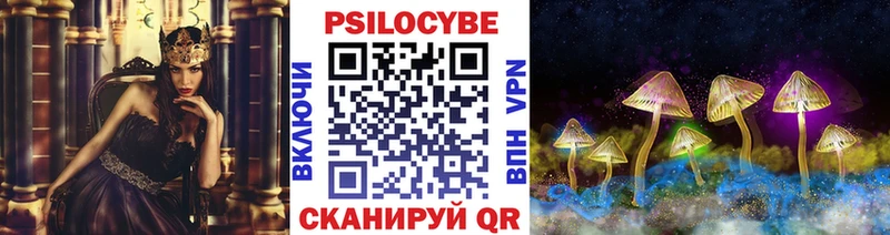 Псилоцибиновые грибы Psilocybine cubensis  ссылка на мегу как войти  Гусев 